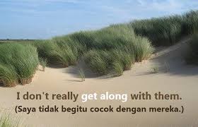 Meskipun terutama mengacu pada jenis tanaman budidaya, padi juga digunakan untuk mengacu pada beberapa jenis dari marga (genus) yang sama, yang biasa disebut sebagai padi liar. Daftar Phrasal Verb Get Beserta Arti Dan Contoh Kalimat Bahasa Inggris