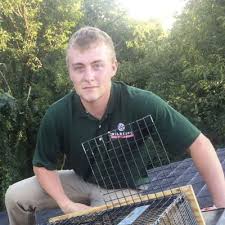Our exterminators will work to rid pests permanently from your property. The 10 Best Exterminators In Franklin Tn With Free Estimates