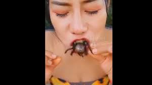 Girls eatig Insects (─‿‿─) - ThisVid.com