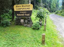 Maybe you would like to learn more about one of these? Black Mountain Campground Sign