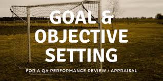 It includes a full income statement, balance sheet and cash flow analysis of tcs. Goal Objective Setting For A Qa Performance Review Appraisal James Willett