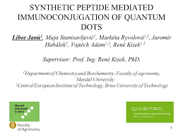 Jeśli chcesz nawiązać z wspólnota mieszkaniowa 1 maja 11 kontakt osobisty, skorzystaj ze współrzędnych geograficznych. 11 Synthetic Peptide Mediated Immunoconjugation Of Quantum Dots Libor Janu 1 Maja Stanisavljevic 1 Marketa Ryvolova 1 2 Jaromir Hubalek 2 Vojtech Adam Ppt Download