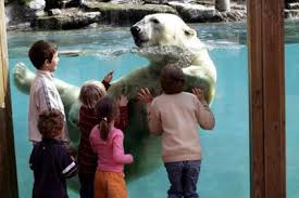 The Zoo Arrow Day Trips Club Alliance Voyages Com