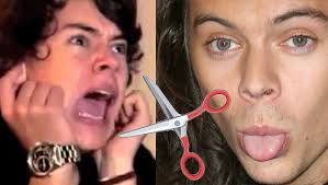 Harry styles si taglia i capelli per beneficenza. Shock Harry Styles Si E Tagliato I Capelli Archivio Biccy It