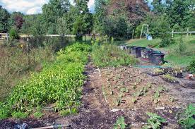 Hours may change under current circumstances Start Planning Now For A Healthy Crop Of Homegrown Food