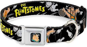 Amazon.com : Buckle-Down Seatbelt Buckle Dog Collar