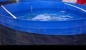 Air kolam yang hijau muda ini biasanya terjadi pada kolam terpal, . Distributor Kolam Terpal Home Facebook