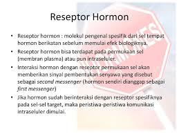 Hormon 22 April Ppt Download