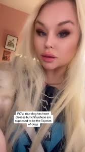 What Happened to Prince Ari Fletcher Dog