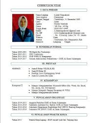 Salah satu berkas penting yang harus dipersiapkan saat melamar kerja adalah surat lamaran pekerjaan. 20 Contoh Cv Curriculum Vitae Daftar Riwayat Hidup Disukai Hrd