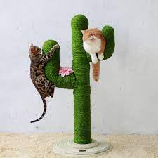 Diy Cute Cactus Cat Climbing Frame Rope Vogladychic Cat Climbing Frame Diy Cat Tree Diy Cat Scratching Post