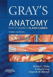 Gray S Anatomy For Students 3rd Edition In 2021 Anatomy Flashcards Flashcards Anatomy