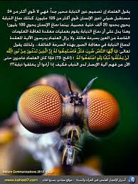 اسرار الاعجاز العلمي في القران والسنة Miracles Of Quran Islam And Science Quran