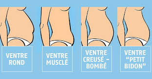 Lorsqu'on souhaite perdre du poids, on se focalise souvent sur une zone de notre corps, notamment sur notre ventre. Dis Moi Comment Est La Forme De Ton Ventre Je Te Dirai Comment Le Perdre