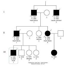 Hemophilia Pedigree Chart Biological Science Picture