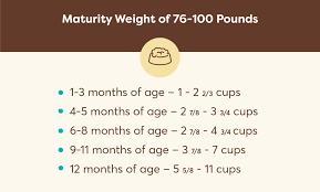 Take your dog's lifestyle into account How Much Food To Feed A Puppy Puppy Feeding Chart Hungry Bark