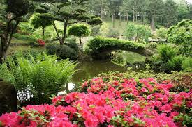 jardin japonais jardins les plus beaux jardins