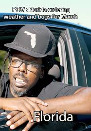 Florida Weather Orders: Bugs and Cold Fronts for March