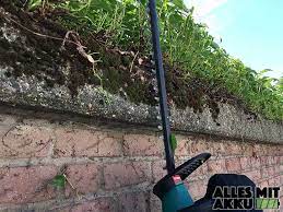 Immer und überall hat er seine augen. Hecke Schneiden Die Wichtigsten Tipps Und Tricks