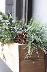 Planting hardy perennials in window boxes means that the box is not just holding bare soil for the winter. Diy Holiday Window Boxes Urban Edition Gardenista