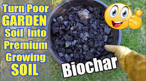 Biochar can help you take your garden to the next level of production and disease resistance. Making Biochar At Home Turn Poor Garden Soil Into Premium Gardening Soil Youtube
