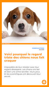 Epingle Sur Innovations