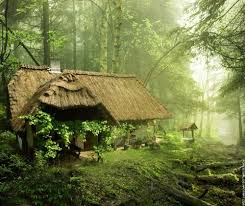 Fairytale Cottage In The Woods Cottage De Conte De Fees Maison Dans Les Arbres Maison De Sorciere