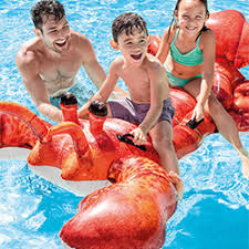 Jeux De Piscine Gonflables Pas Cher Matelas Ballons Bouees