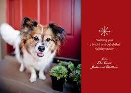 Maybe you would like to learn more about one of these? 5 Photo Tips For Perfect Pet Holiday Cards