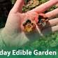 Sunday Edible Garden Demo