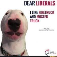 Dear Llberals I Ike Firetruck And Moster Truck S Ifunny Funny Memes Funny Car Memes Memes