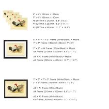 Image result for Hymenophyllum tunbridgense