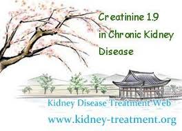 Creatinine 1 9 In Chronic Kidney Disease Is It Possible To