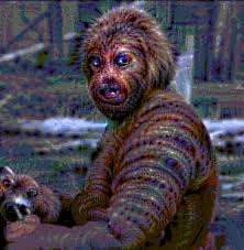 Image result for funny make gifs motion images of monkeys freaking