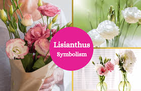 Pin On Plants And Flower Symbols