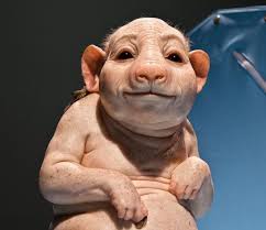 Patricia piccinini looks at what it means to be human in a world of genetic engineering and biotechnology, as well as how these technologies change the relationship between people and nature. Patricia Piccinini Alchetron The Free Social Encyclopedia