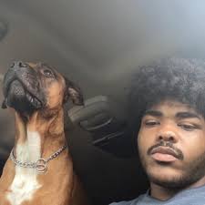 Our sweet indoor kitty, Prince, is missing. He is a 20ish lb, fixed, all  black domestic short hair cat, 9 years old. Last seen