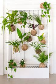 Ver más ideas sobre plantas, decoracion plantas, ideas de jardinería. Lo Nuevo Para Decorar Con Plantas En 2019 A Trendy Life Bloglovin