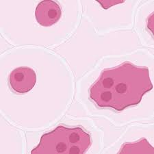 Our aunts choices are uncontrolled. Cancer Cells Vs Normal Cells Technology Networks