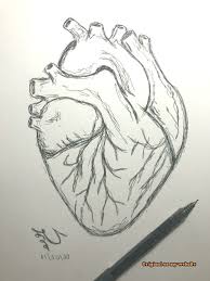Umpin Space Human Heart Drawing Heart Drawing Pencil Art Drawings