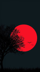 Iphone Duvar Kagitlari Cep Telefonu Duvar Kagitlari Full Hd Teknozum 2020 Soyut Fotografcilik Galaxy Wallpaper Dijital Boyama