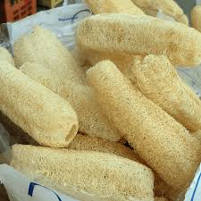 Image result for Luffa