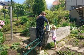 Es gibt aber auch universaldünger zu kaufen, den man im herbst, wenn abgeerntet und die einjährigen pflanzen entfernt wurden. Naturliche Dunger Aus Heim Und Garten