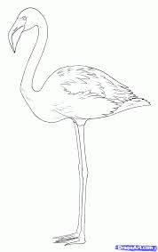 How To Draw Flamingos Step By Step Birds Animals Free Online Drawing Tutorial Added By Makangeni Janu How To Draw Flamingo Flamingo Art Flamingo Painting