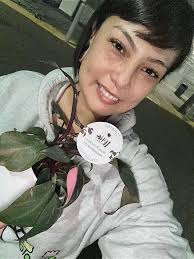 New Philodendron Plant Purchase Before Moving to Iowa