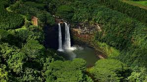 Hawaii hd wallpaper 1920x1080 / original resolution: Hd Wallpaper Nature Landscape Trees Forest Water Waterfall Aerial Wallpaper Flare