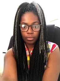 Black And Grey Braids Hairstyles Black Girl Grey Hair Crochet Braids Senegalese Twists Dark Skin Twist Braid Hairstyles Braids Braided Hairstyles