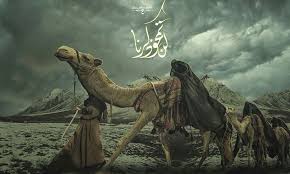 گالوا أسيرة على الهزل لا مو أسيرة زينب أميرة وللأبد تبقى أميرة karbala photography middle eastern art muharram wallpaper