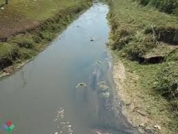 Polis selangor menjalankan siasatan berhubung pencemaran di sungai selangor yang menjejaskan bekalan air kepada hampir lima juta pengguna di 1,292 kawasan sekitar lembah klang. Pencemaran Sungai Tasek Cempedak Enviro Museum