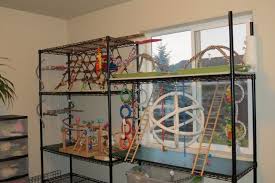 Spiffy Pet Products Pet Product Ideas Reviews And Care Tips For Your Cat Dog Fish Bird Or Other Small Pets Pet Bird Cage Pet Bird Bird Cage